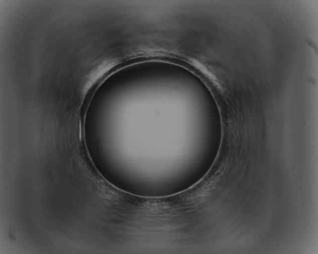 X0000092311269200710051232