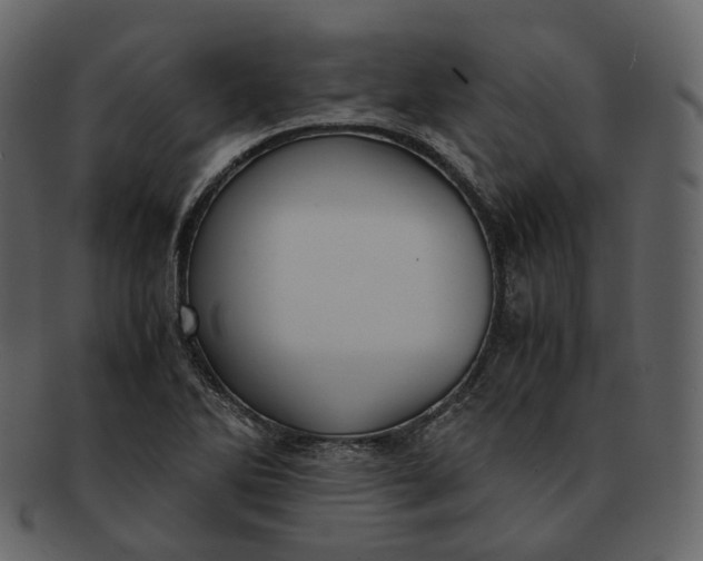 X0000092311270200710051232
