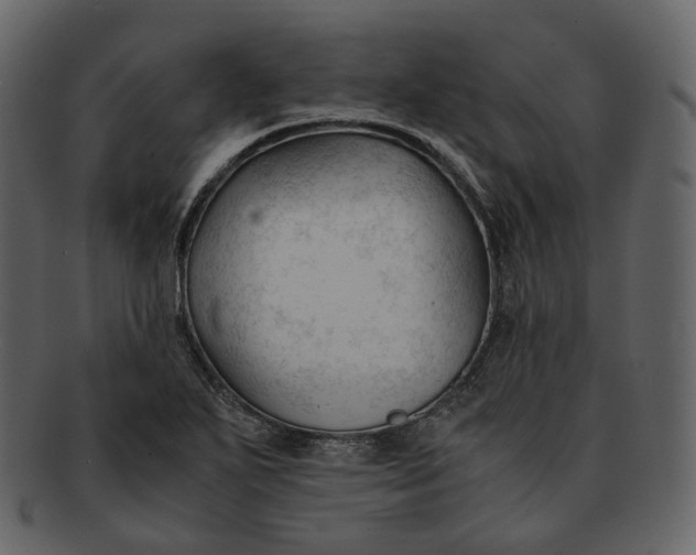 X0000092311271200710051232
