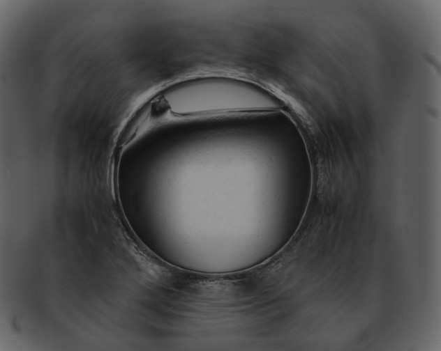 X0000092311272200710051232