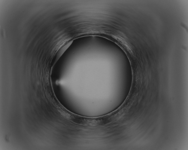 X0000092311273200710051232