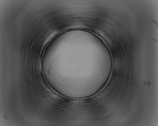 X0000092311274200710051232