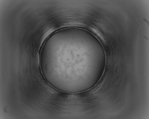 X0000092311275200710051232