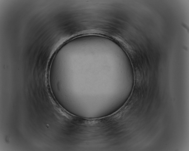 X0000092311278200710051232