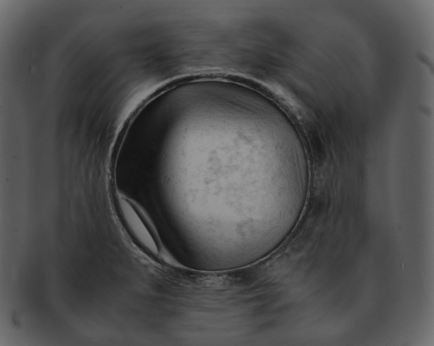 X0000092311279200710051232
