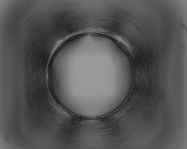 X0000092311280200710051232