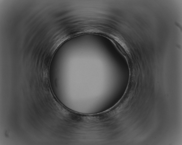 X0000092311281200710051232
