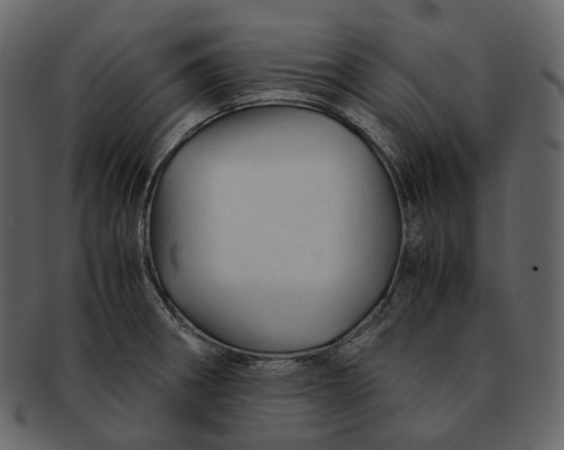 X0000092311282200710051232