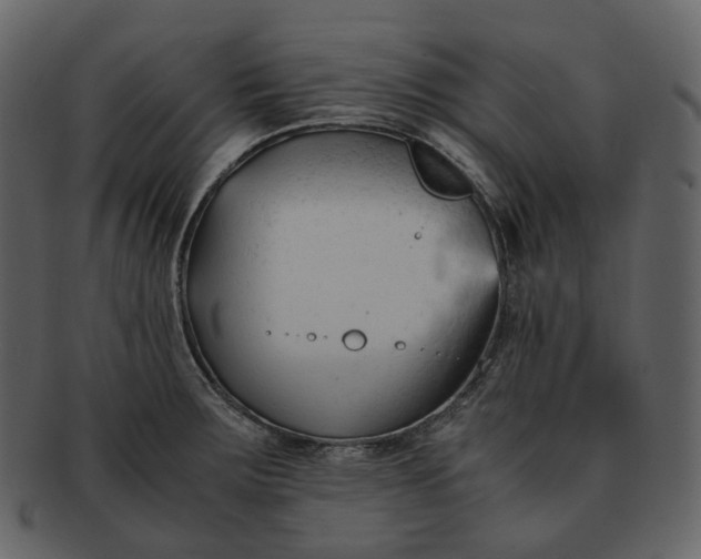 X0000092311283200710051232
