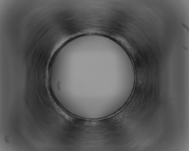 X0000092311286200710051232