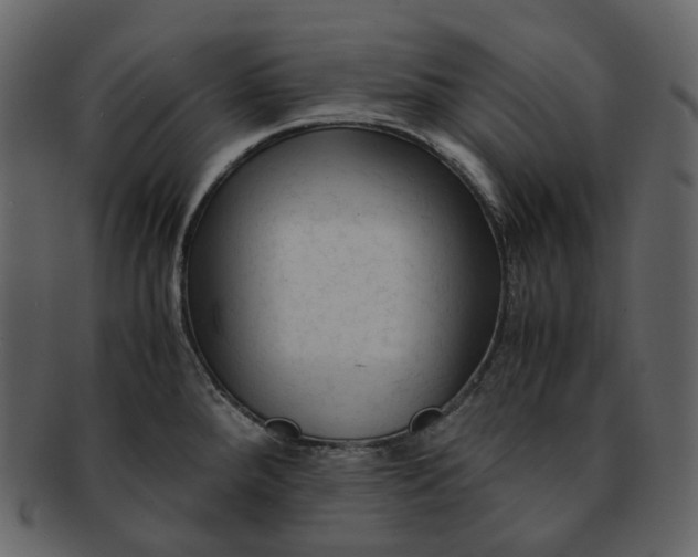 X0000092311288200710051232