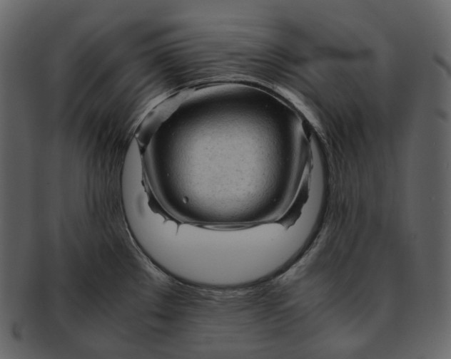 X0000092311289200710051232