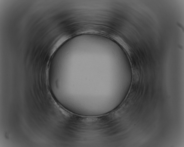 X0000092311290200710051231