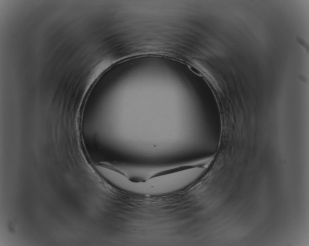 X0000092311291200710051231