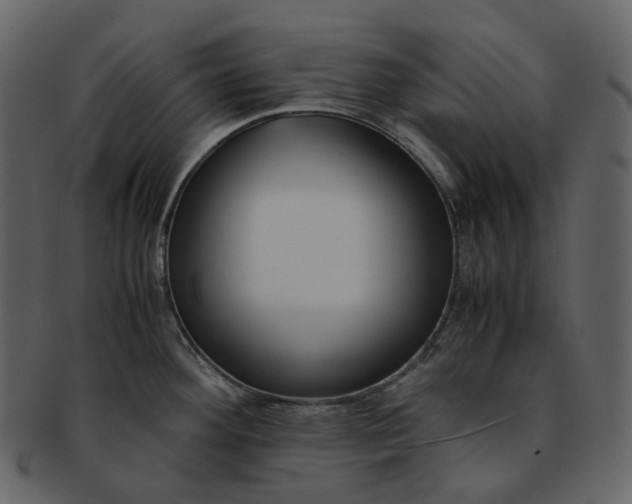 X0000092311292200710051231