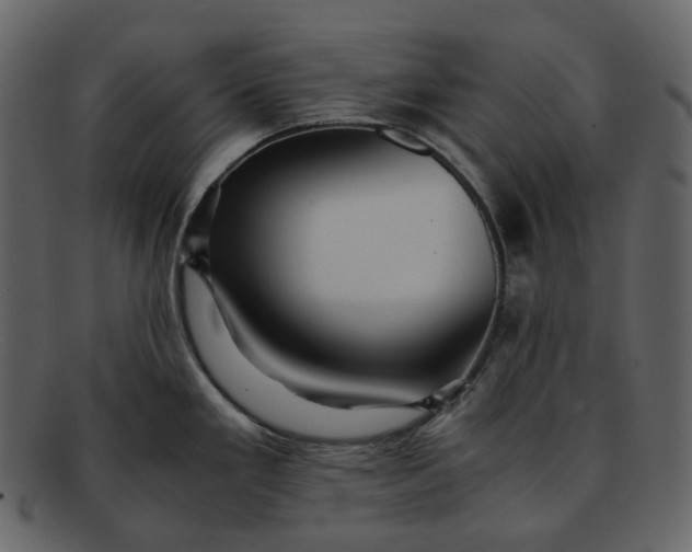 X0000092311293200710051231