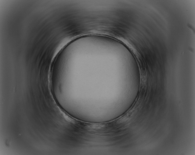 X0000092311294200710051231