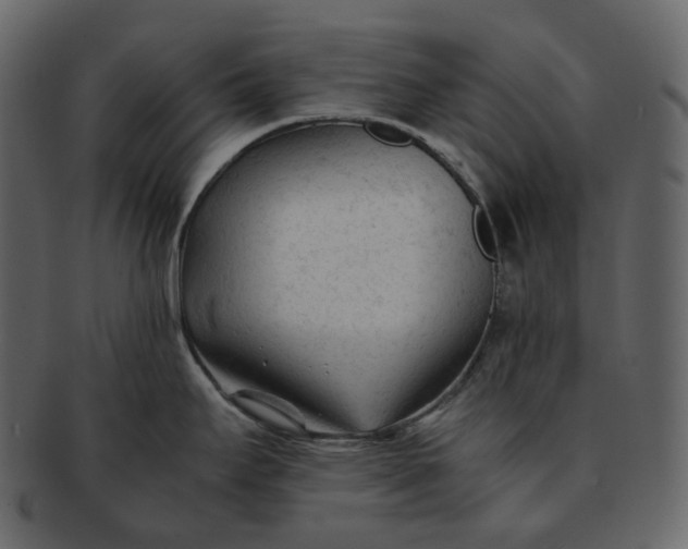 X0000092311295200710051231