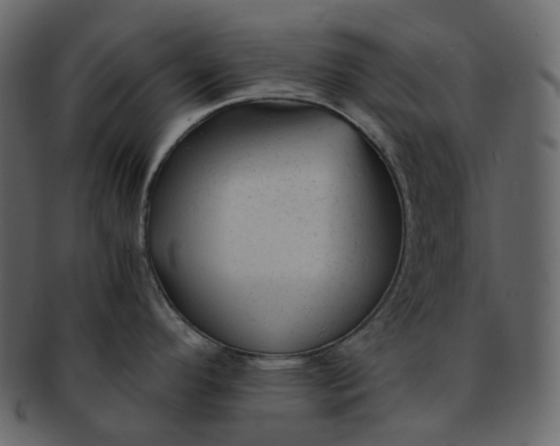 X0000092311296200710051231