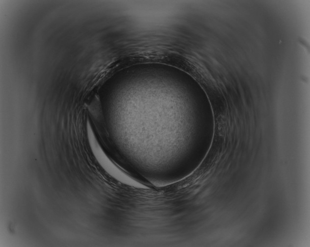 X0000092311298200710051231