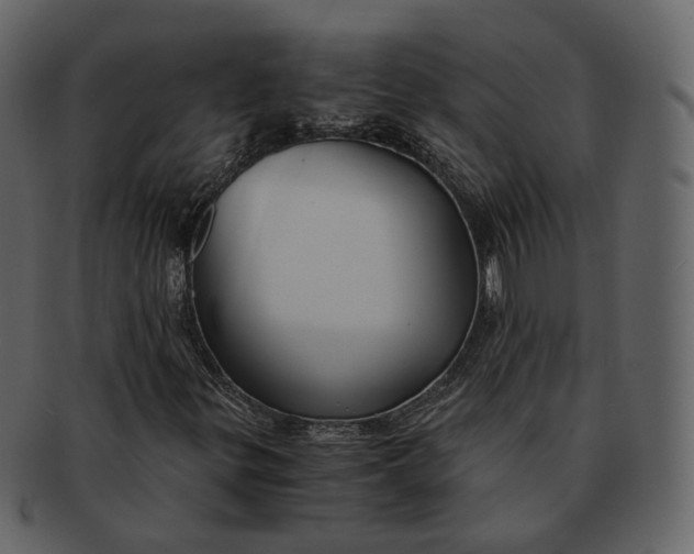 X0000092311299200710051231