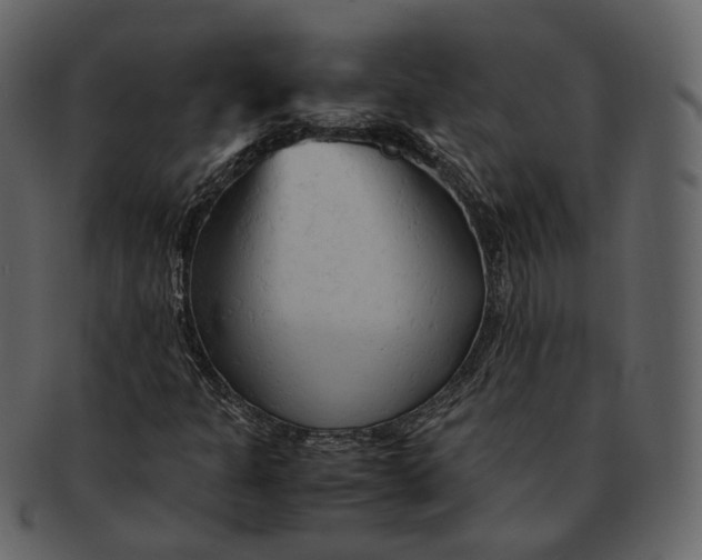 X0000092311301200710051231