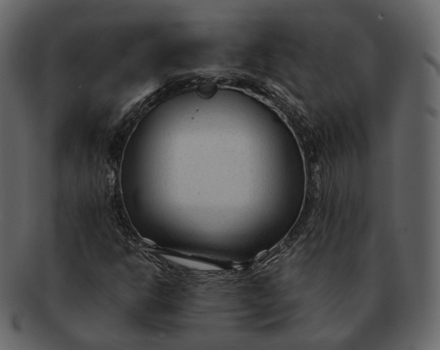 X0000092311302200710051231