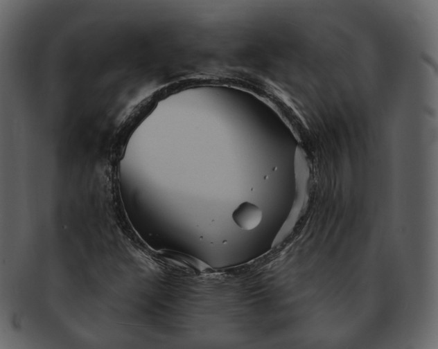X0000092311304200710051231