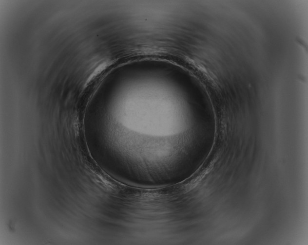 X0000092311306200710051231