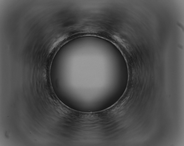 X0000092311307200710051231