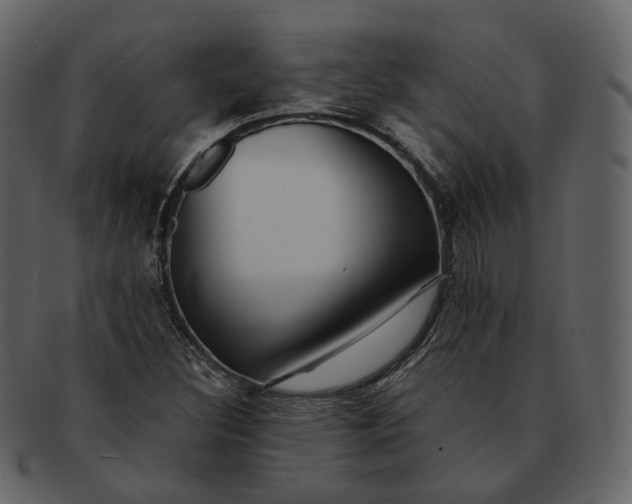X0000092311308200710051231