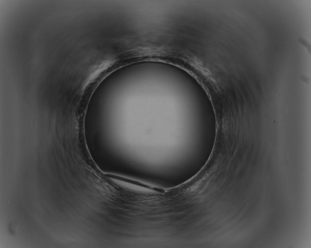 X0000092311309200710051231