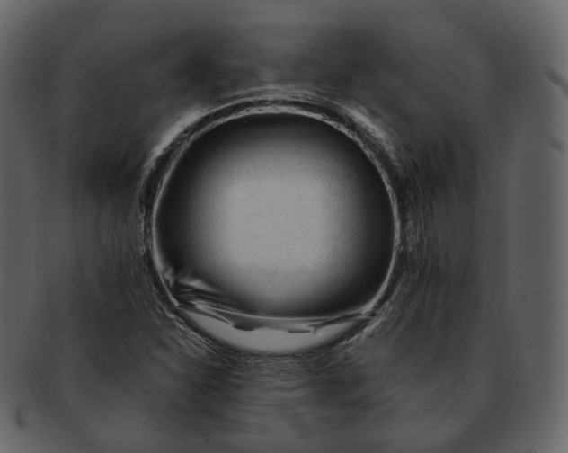 X0000092311310200710051231