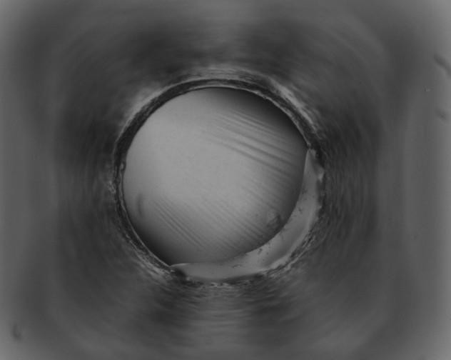 X0000092311312200710051231