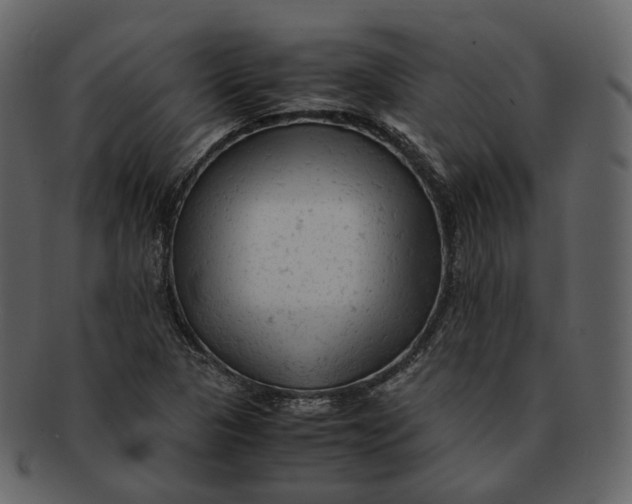 X0000092311313200710051231