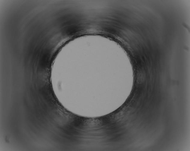 X0000092311314200710051231