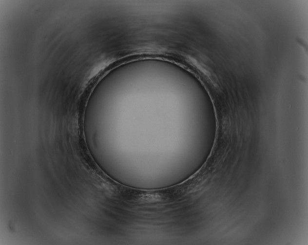 X0000092311315200710051231
