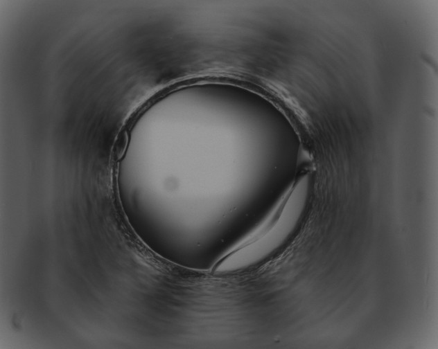 X0000092311316200710051231