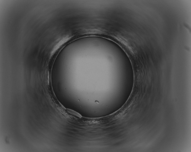 X0000092311317200710051231