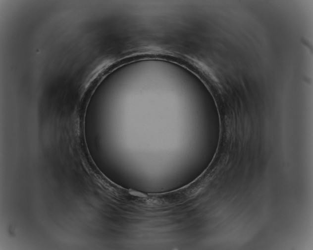 X0000092311318200710051231