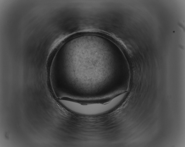X0000092311319200710051231