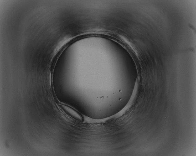X0000092311320200710051231