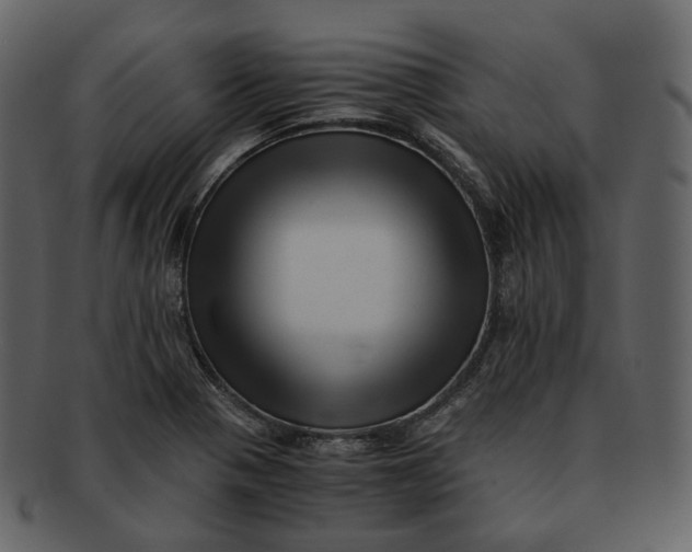 X0000092311321200710051231