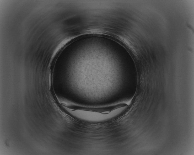 X0000092311323200710051231