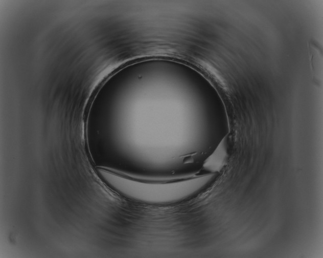 X0000092311324200710051231