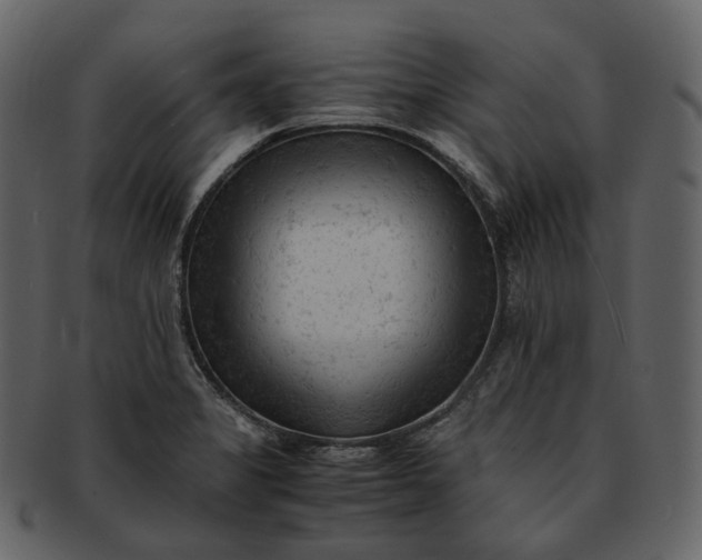 X0000092311325200710051231