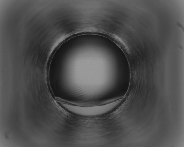 X0000092311326200710051231
