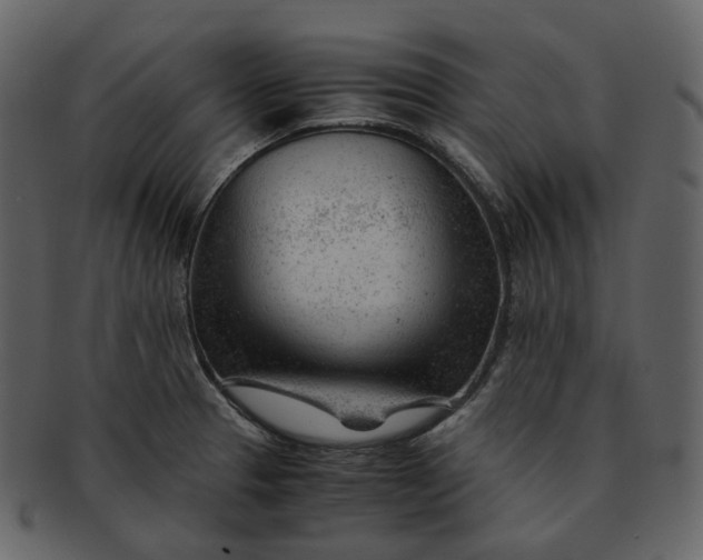 X0000092311329200710051231