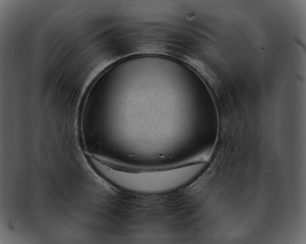 X0000092311331200710051231