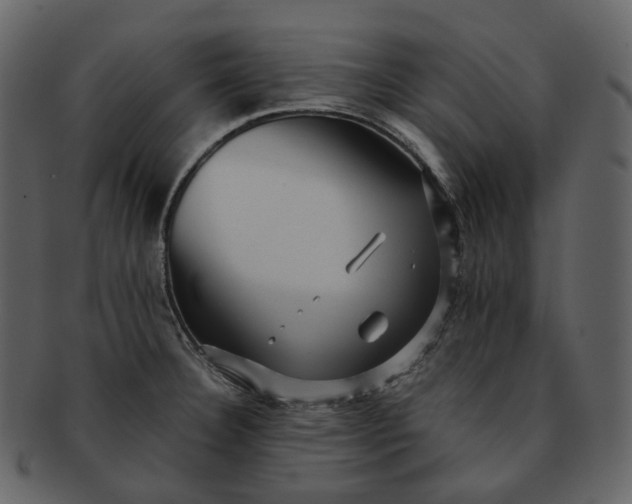 X0000092311332200710051231
